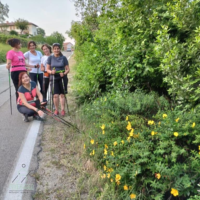 Foto Camminata Nordic Walking Monferrato